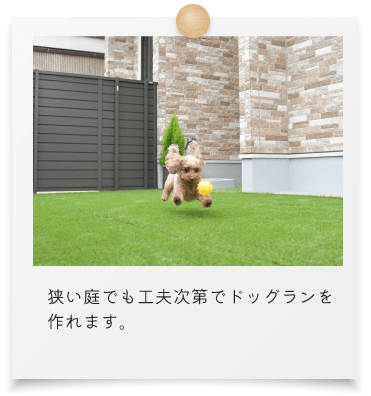 狭い庭でも工夫次第でドッグランを作れます。
