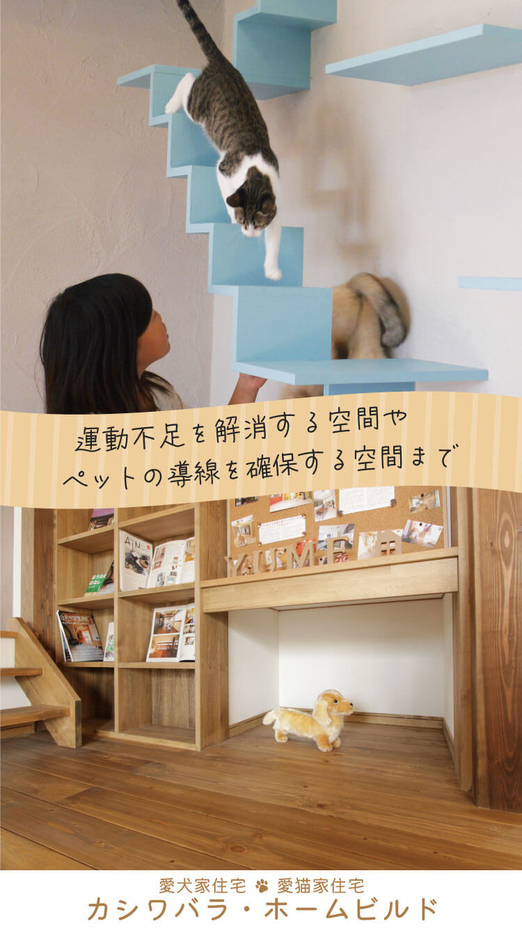 ねこの運動不足を解消するねこステップやねこルート、くつろぎを支えるここち和座など、足腰にやさしく、キズ、音、ニオイにも強い空間づくりを。