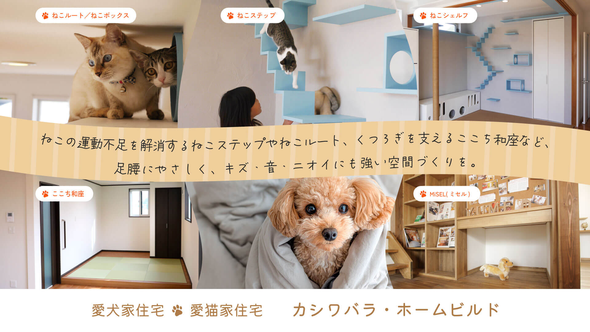 ねこの運動不足を解消するねこステップやねこルート、くつろぎを支えるここち和座など、足腰にやさしく、キズ、音、ニオイにも強い空間づくりを。