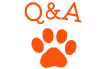 Q&A